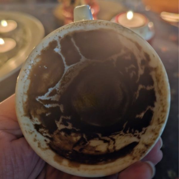 The Reader & the Lineage